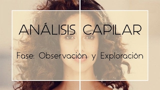 Protocolo para el Análisis Capilar: Fase de Observación y Exploración