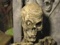 my animatronic my animatronic