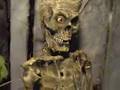 my animatronic