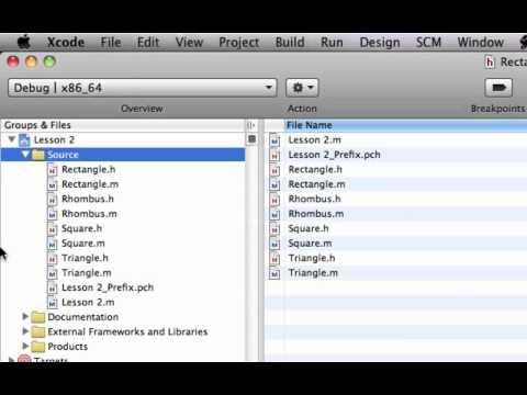 how to organize xcode project