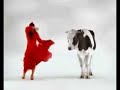 Flamenco