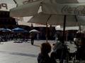 videos de Fuego Miki Tony Bull