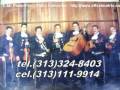 MARIACHI REBELDES SHOW DE TECOMAN,COLIMA. (313)324-8403 CEL.(313)111-9914