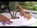 Mulching Another Way To Recycle Paper