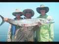 kingfish and dolphin