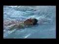 Promo documental Auga Morna