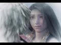 final fantasy AMV HIM - butiful