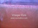 how to collect vinegar eels