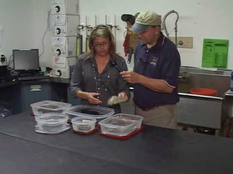 Artifacts from Civil War Blockade Runner
