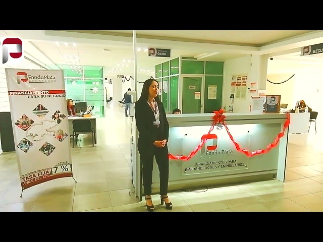 Fondo Plata Zacatecas