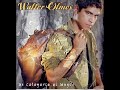 Walter Olmos Extrañandote