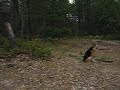 Andrus Lake Boondocking RV Camp Site Panorama