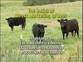 Alternative-Markets-