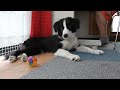 Click here to watch this video 0605-01 笑うボール.MOV