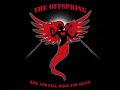 The Offspring - Rise And Fall, Rage And Grace preview