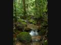 Beautiful World