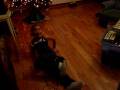 november 08 038