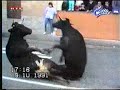 Accident grave de circulation. Anamn�se
