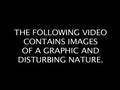 WEIRD AL SEX TAPE