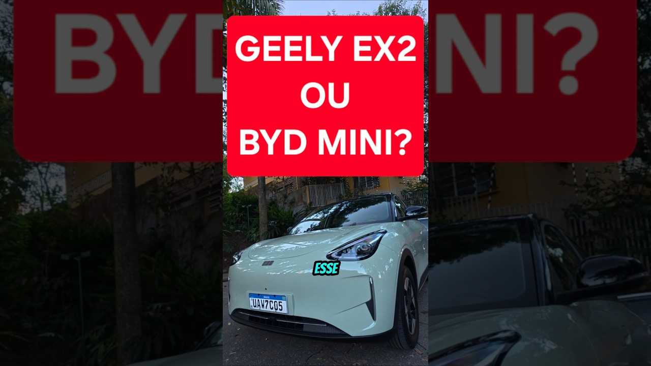 DOLPHIN MINI OU GEELY EX2?