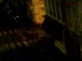 Night music