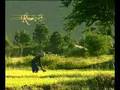 Isan Ban Hao (Isan, My Home)