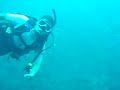 Buceo en el cardumen, Chichiriviche de la costa