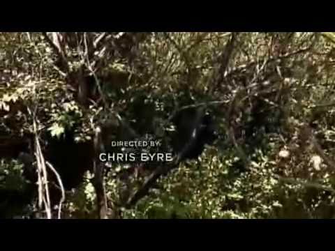 mayflower - I do not own any part of this it belongs to PBS, I just love history. In March of 1621, in what is now southeastern Massachusetts, Massasoit, the leading sac...