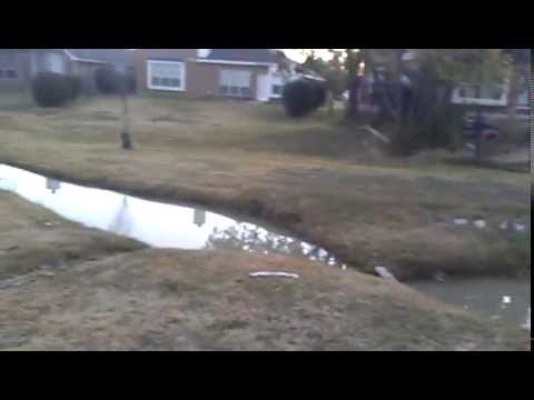 Video0120 - 