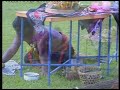 kudho praneso part 7 of 9 kudho praneso part 7 of 9