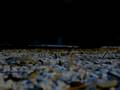 videos de 100_1104.MOV
