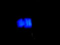 xt-600-escape-wacs-tyranno-33.html