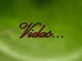 vidas