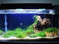 15 Gallon Aquascaping Tank 15 Gallon Aquascaping Tank
