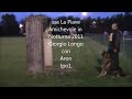 Preview video <strong>Giorgio Longo con Iron ipo1</strong>