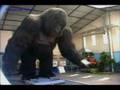 Animatronics from Kazakhstan