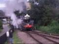 73050 and the o'connell special