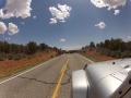 Click here to watch this video Cattle drive #2 in the thick of it