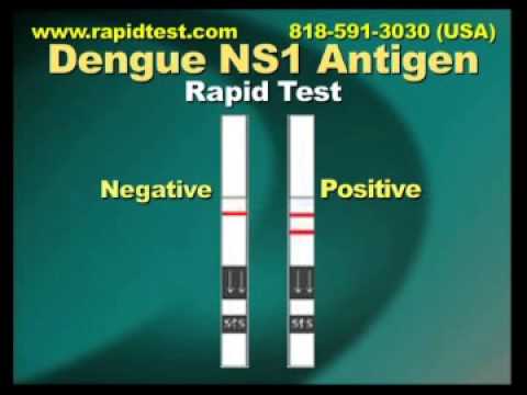 how to cure dengue ns1