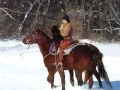 Here is Remington, learning how to be ponied by another horse. This is his second time being ponied, and the first time he's been ponied outside. www.jessieandremington.blogspot.com