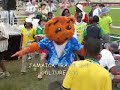 Party Stand Fun at Ireland versus Pakistan in Jamaica