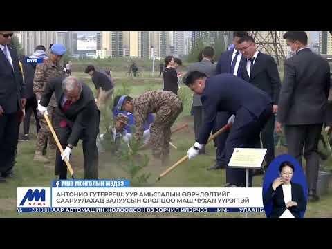 Монгол Улсын "Тэрбум мод" үндэсний хөдөлгөөнийг НҮБ бодлогын түвшинд дэмжиж байна