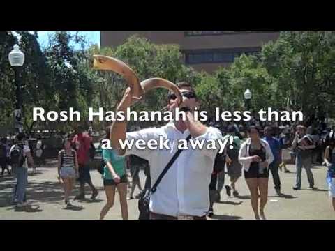 He would make a nice chabad shliach….