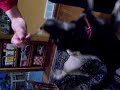 Doyel eats treats