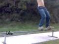 leo sk8-er