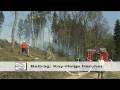 : Waldbrand in Netphen-Frohnhausen