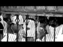 A JIhad For Love Trailer