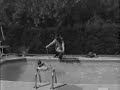 The Pool Cleaners