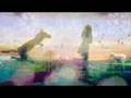「馬と蝶」(feat.初音ミク)