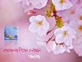 Oyasama Feat. Miyabi - Sakura